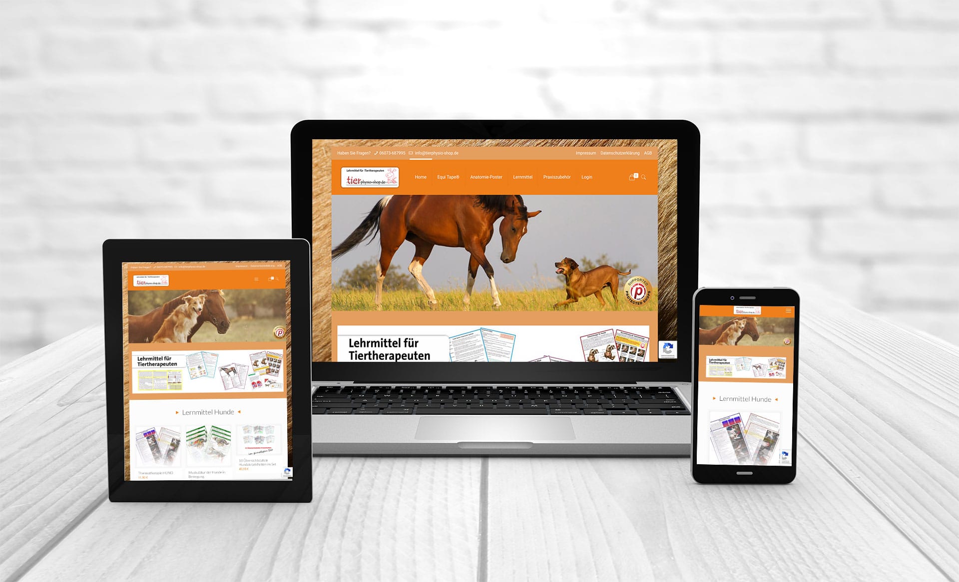 Professionelles Webdesign, Referenzen Tierphysio-Shop