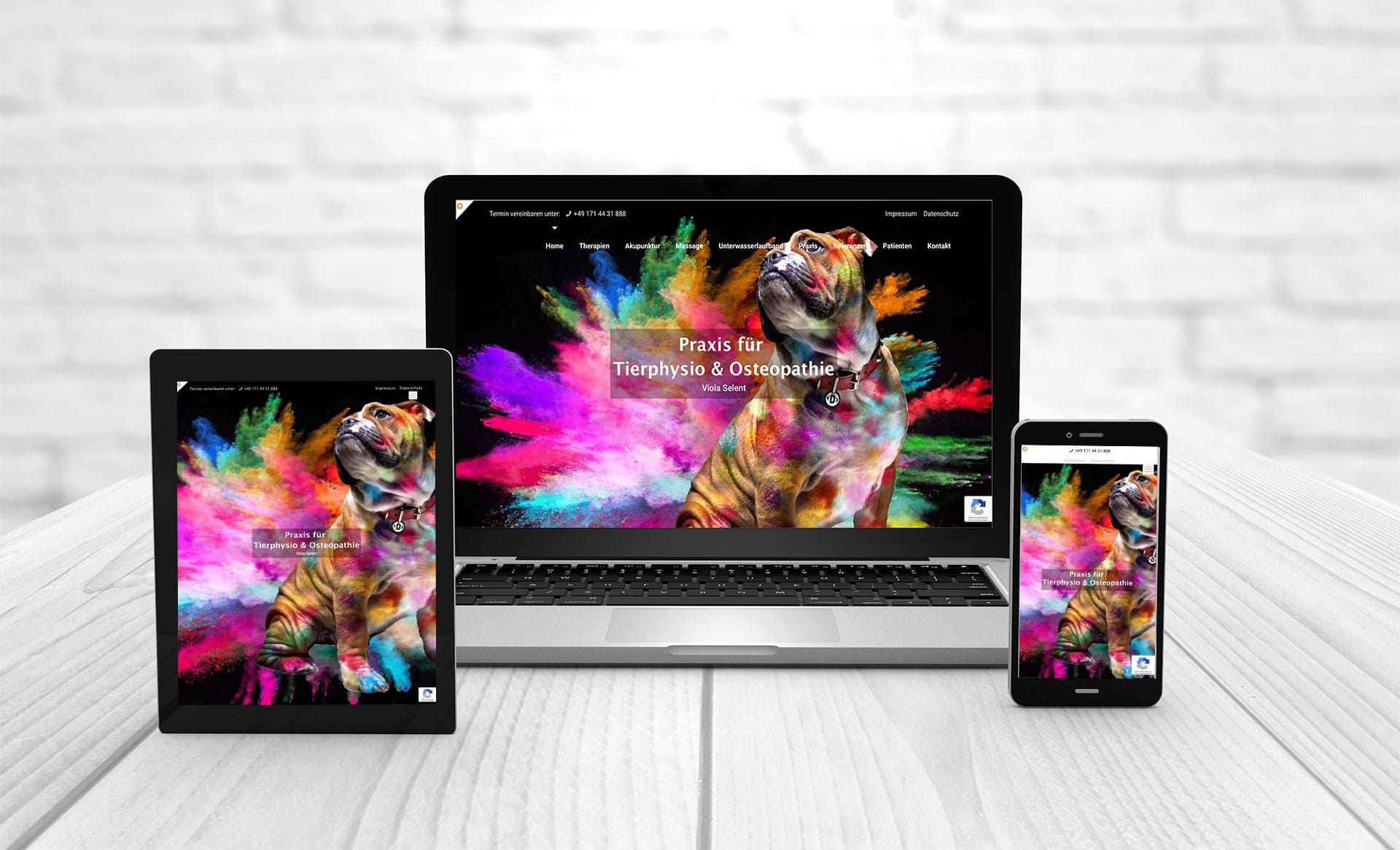 Professionelles Webdesign, Referenzen Pferdeosteopathie
